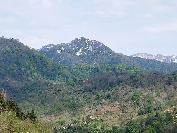 Verkauf eines Hauses mit Grundstück in einem Vorort von Batumi