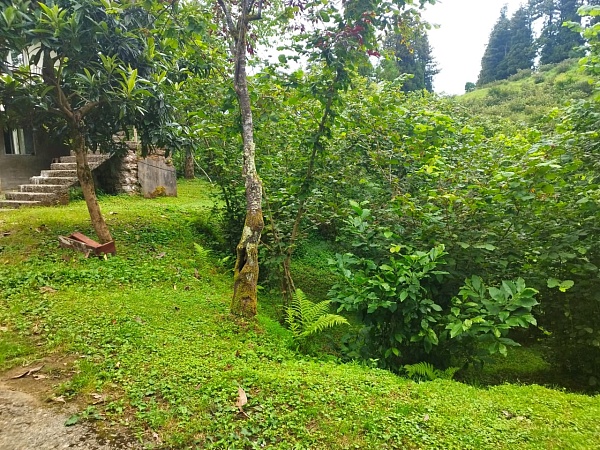 Private house with a plot in Chakvi