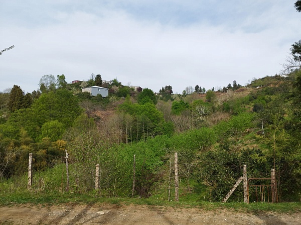 House with a plot close to Batumi