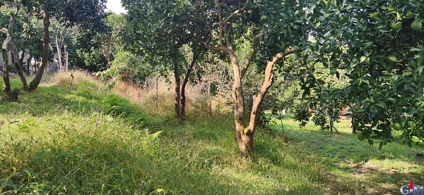 Земельный участок в Батуми, Гонио.